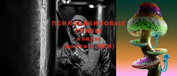 гидра Алзамай