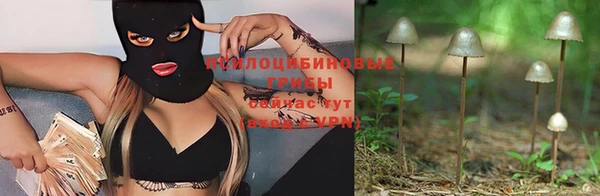 a pvp Абинск