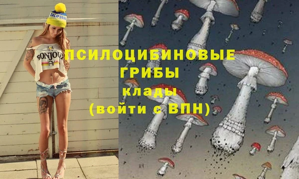 наркотики Абаза