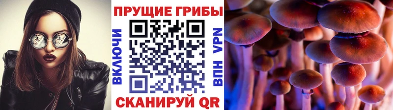 купить закладку  hydra   Галлюциногенные грибы MAGIC MUSHROOMS  Иноземцево 